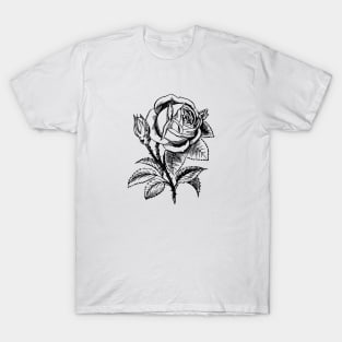 Rose and little heart T-Shirt